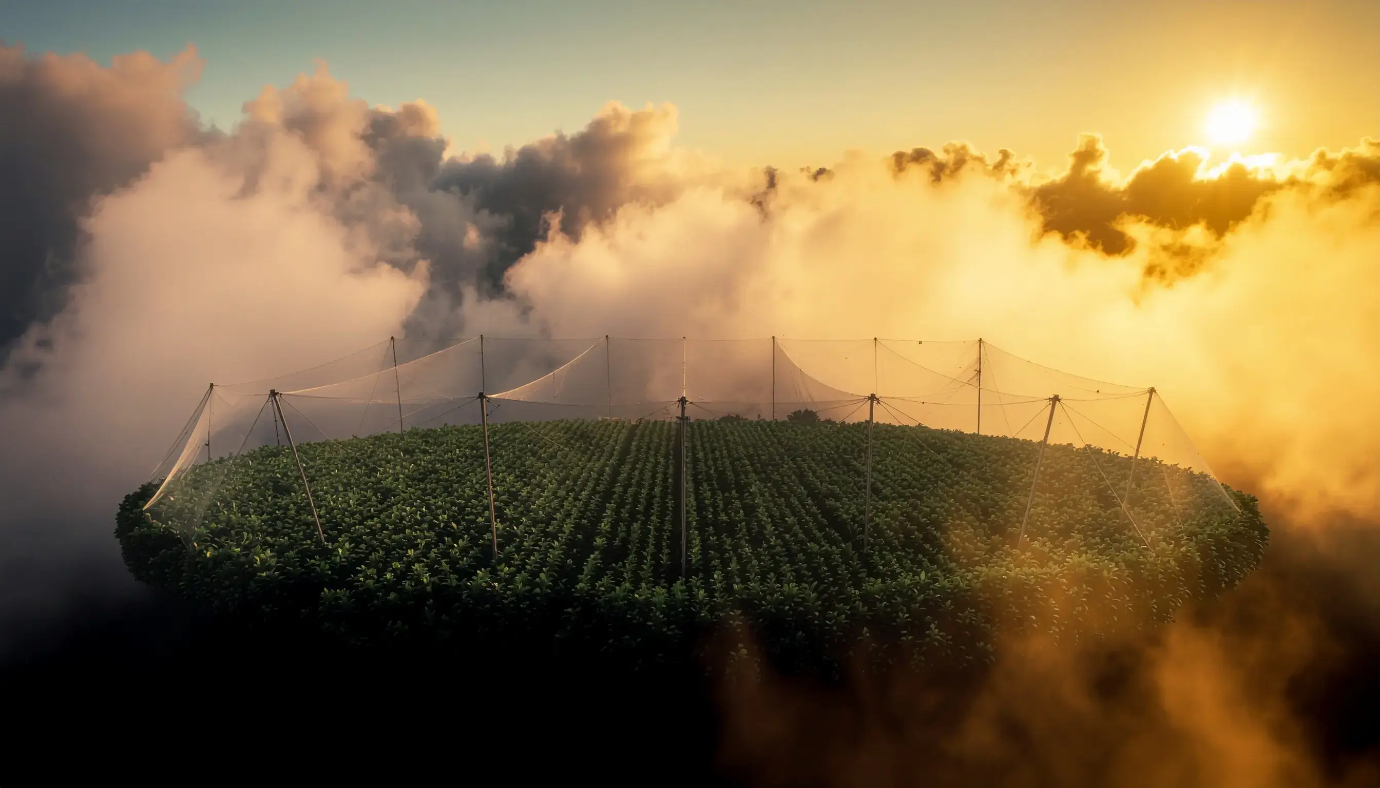 <p>Tarımınızı Koruyoruz,<br><span class="font-bold">Geleceği G&uuml;vence<br>Altına Alıyoruz</span></p>