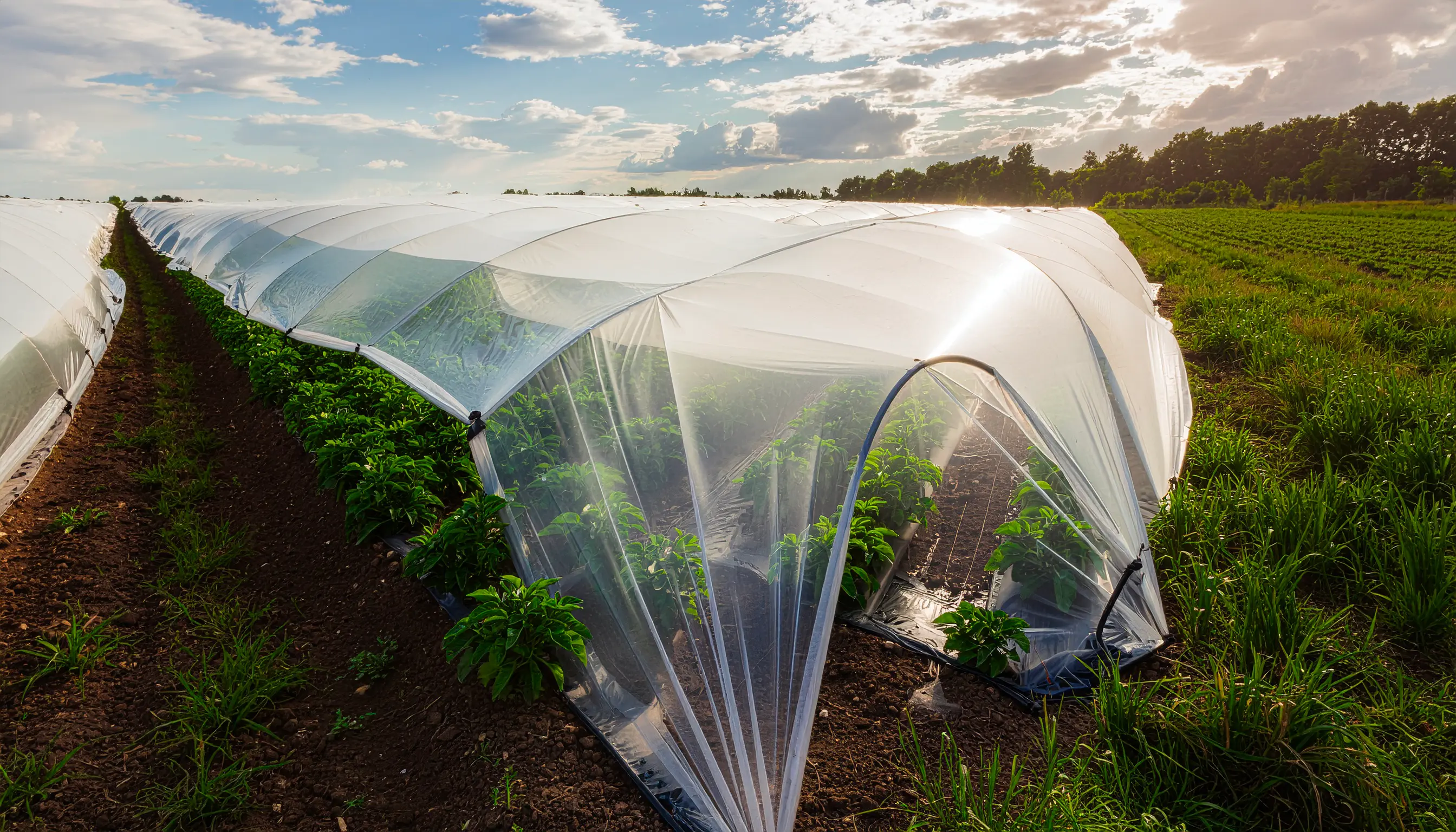 Yenilikçi Teknoloji<br><span class="font-bold">Maksimum<br>Verimlilik</span>